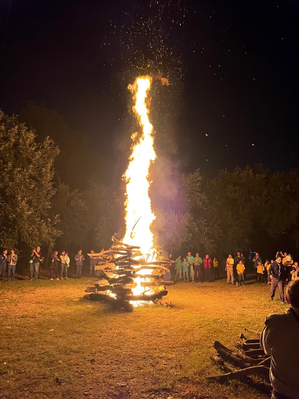 Fogata de campamento por la noche