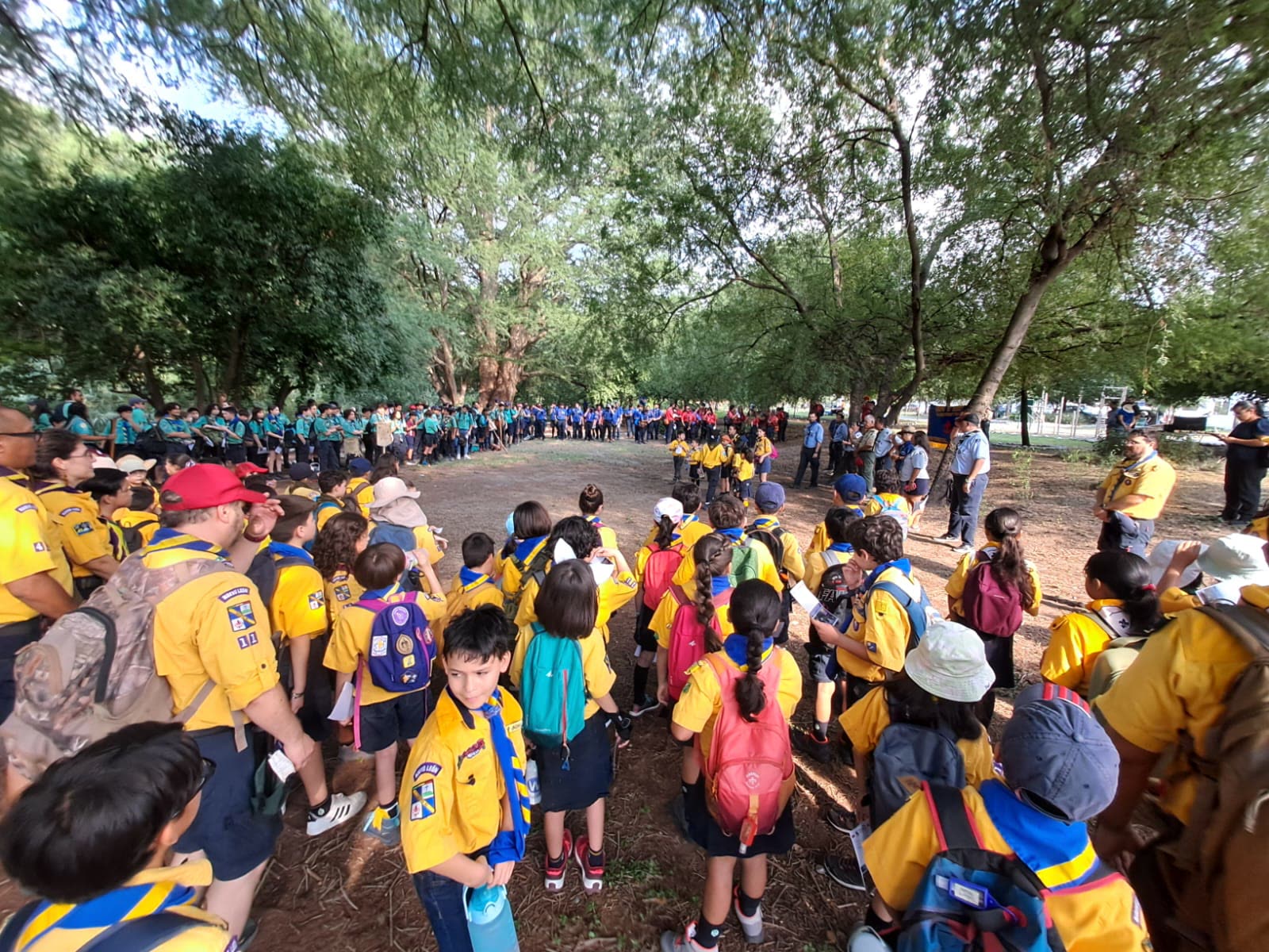 Formación de cientos de scouts bajo los árboles